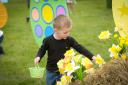 An Easter Egg Hunt in the Easter Garden at Willows Activity Farm.