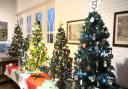 More than 60 Christmas trees will be displayed at St Francis of Assisi Church.