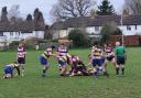 Welwyn attempt to disrupt an Enfield ruck and win the ball back. Picture: WELWYN RFC