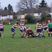 Welwyn attempt to disrupt an Enfield ruck and win the ball back. Picture: WELWYN RFC