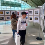 Viewing the Potters Bar and District Photographic Society's Galleria Exhibition in Hatfield.