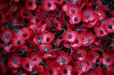 Remembrance services will be held across Welwyn Hatfield.