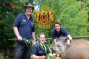 Brothers Aaron, Tyler and Cam Whitnall with a tapir at Herts zoo Paradise Wildlife Park in CBBC show One Zoo Three.