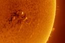 Solar flares photographed by Steve Heliczer