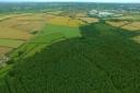 Aerial view of Symondshyde Green Belt land. Picture: Save Symondshyde