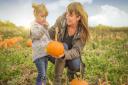 Willows Activity Farm's annual Pumpkin Festival. Picture: Supplied by Willow Activity Farm.