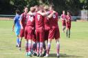Welwyn Garden City were able to enjoy celebrations like this after beating Aylesbury United.