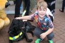 Dilan Bates, 5 at the guide dogs stand at Animal Crackers event in Hatfield. Picture: Danny Loo