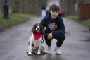 Ashley and Bertie are finalists in the Kennel Club Hero Dog Award