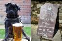 Head out for a walk and stop off at one of these highly-rated pubs in County Durham with your fluffy best friends