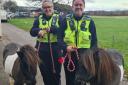 PCSOs Jo Woods and Sam Griffin with therapy ponies Arthur and Romeo