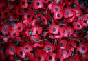 Remembrance services will be held across Welwyn Hatfield.