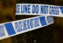 Herts police were called to reports that a body had been found in woodland near Dellsome Lane, Welham Green