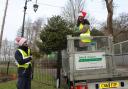 Isabel Hospice Christmas tree recycling will take place between January 7 and January 13, 2023.