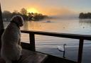 James took his picture of Buster enjoying the sunrise back in October.