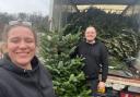 Christmas tree recycling for Isabel Hospice.