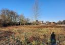 The green belt land in Welwyn that is for sale.