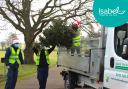 Isabel Hospice Christmas tree recycling.