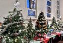 Christmas trees at St Francis Church, Welwyn Garden City.