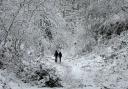 Winter Walk in Sherrardswood by John Reddington