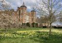 Daffodils at Hatfield House last spring.