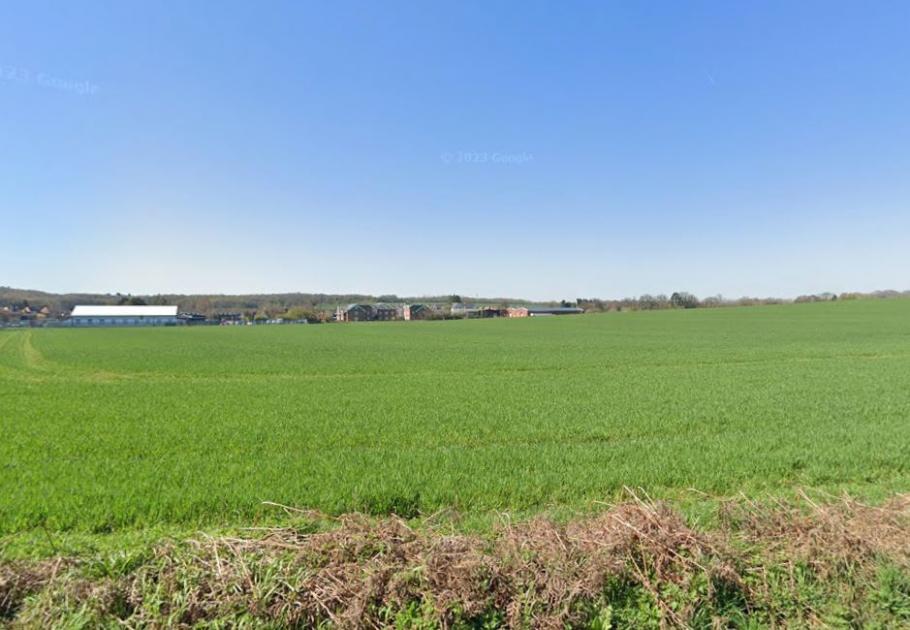 Woolmer Green: Council has no objection to 150-home plans 