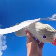 You can make a sock seagull