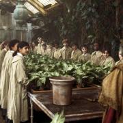 The Greenhouse in Warner Bros. Pictures' family adventure film Harry Potter and the Chamber of Secrets.