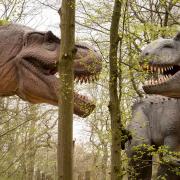 See prehistoric creatures at World of Dinosaurs at Paradise Wildlife Park this Easter.