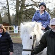 Jacqui riding Darraugh at the Digswell Place stable