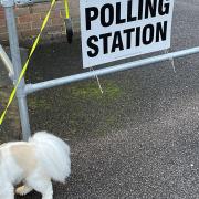 Lulu at a Hertsmere polling station. Picture: Rob Cohen.