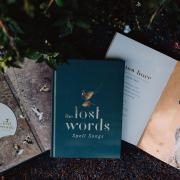 Lost Words Spell Songs CD book. Picture: Elly Lucas