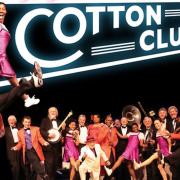 You can see Swinging at The Cotton Club at The Alban Arena in St Albans
