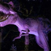 Dinos After Dark returns to World of Dinosaurs at Paradise Wildlife Park in Hertfordshire.