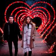 The Heart Arch walk by Culture Creative  featured at one of Sony Music's trails last year. A festive light trail by the same creative team will open in Hatfield Park on Friday, November 25.