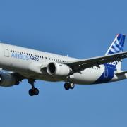 The captain and first officer of an Airbus A320 saw the object come 