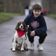 Ashley and Bertie are finalists in the Kennel Club Hero Dog Award