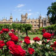 The garden at Knebworth House.