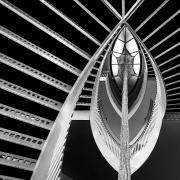 Art Institute Staircase by Fiona Adamson