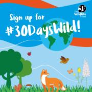 Sign up for 30 Days Wild.