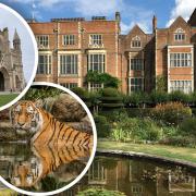 The Herts Big Weekend is back with free tickets to be won to attractions such as St Albans Cathedral, Paradise Wildlife Park and Hatfield Park.