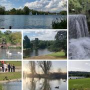 7 stunning lakeside walks to enjoy in Hertfordshire.