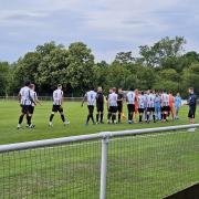 Welwyn Garden City suffered a 1-0 loss away to Colney Heath in the Herts Charity Shield.
