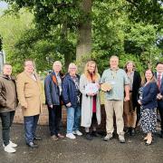Welwyn Hatfield is celebrating success in Anglia in Bloom awards