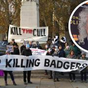 Queen's Brian May back the protest outside the House of Parliament.
