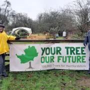The scheme aims to plant 1.8 million new trees in Hertfordshire by 2030