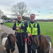 PCSOs Jo Woods and Sam Griffin with therapy ponies Arthur and Romeo