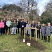 King’s tree planted in the grounds of Hertford Castle to mark Coronation.