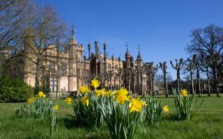 Knebworth House, Gardens, Park, Adventure Playground and Dinosaur Trail will be open daily for the school Easter holidays from April 1 to April 16.