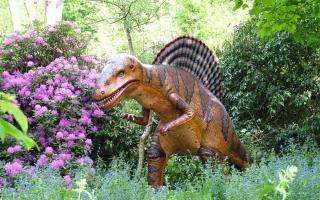One of the 72 life-size dinosaurs in the Wilderness Gardens at Knebworth House.